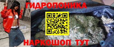 шишки Бузулук