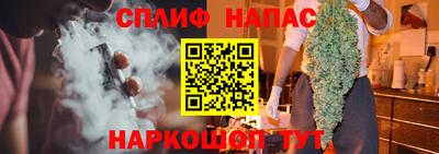 шишки Бузулук