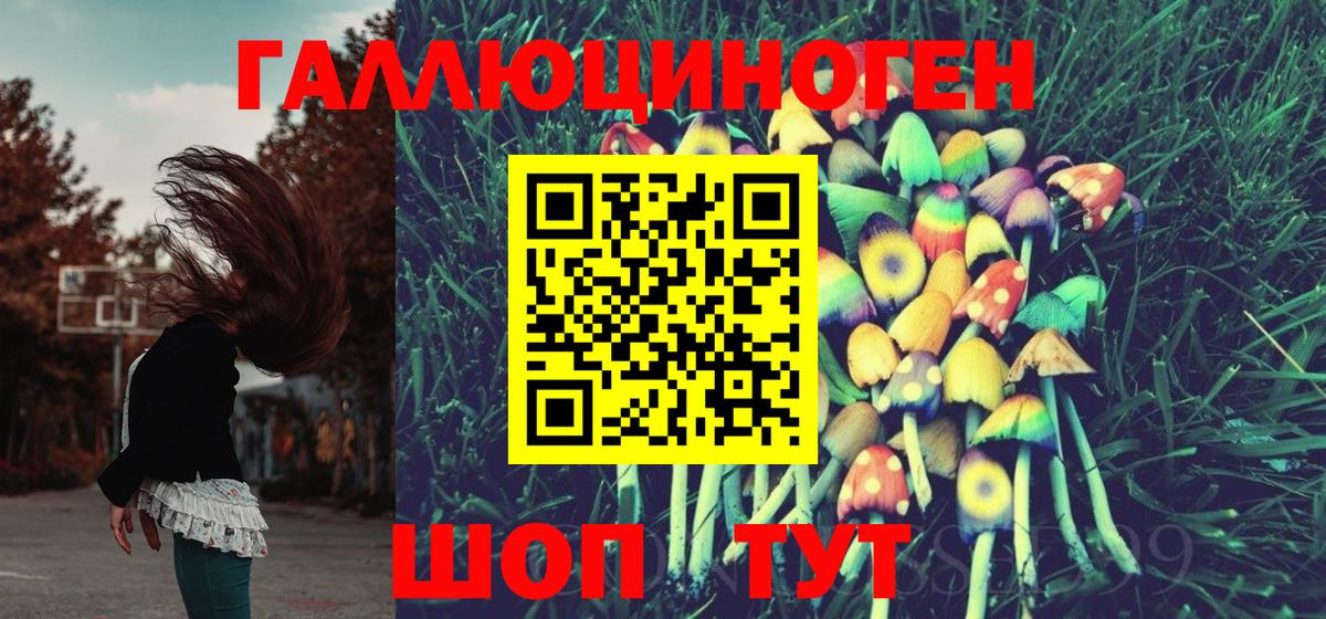 Псилоцибиновые грибы Cubensis  Вход с VPN  Старая Русса  Псилоцибиновые грибы ЛСД 
