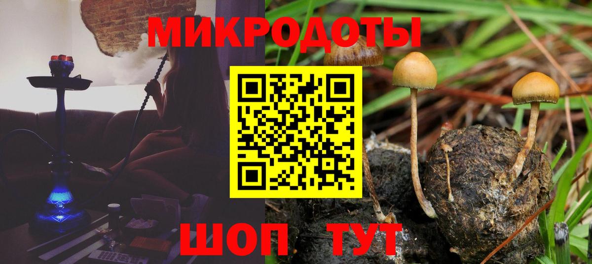 Галлюциногенные грибы Magic Shrooms Старая Русса